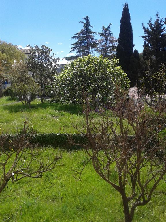 Guesthouse Lautasevic Petrovac Dış mekan fotoğraf